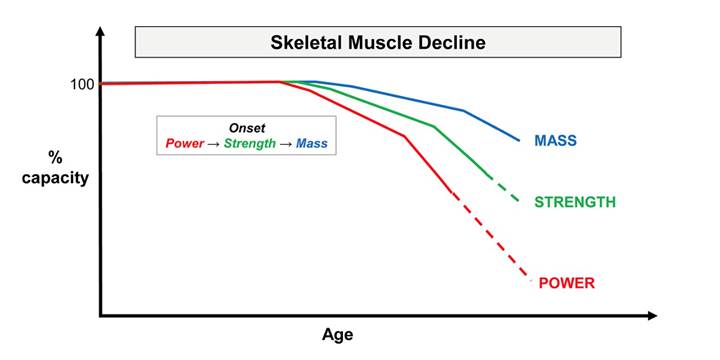 graph of age versus decline in muscle mass, strength and power