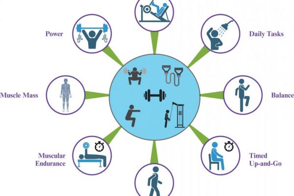 a schematic of the benefits of resistance exercise