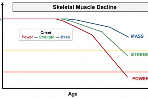 skeletal muscle decline