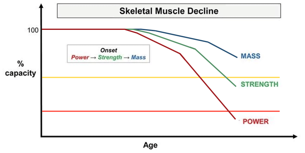 skeletal muscle decline